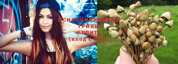 кокаин премиум Дмитриев