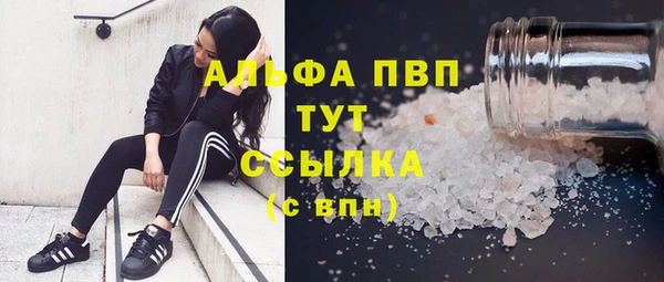 тгк Дмитров